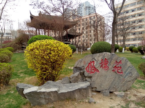 春色满园关不住